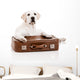 Dog with Suitcase