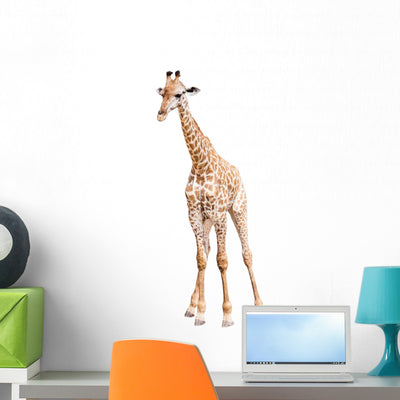 Giraffe Wall Decal shown on a wall
