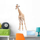 Giraffe Wall Decal