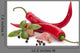 Chili Pepper and Spice