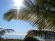 Paradise Wall Mural