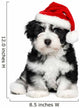 Cute Christmas Havanese puppy dog with a Santa hat Wall Decal