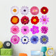 Various Flowers Wall Decal Sticker Set