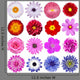 Various Flowers Wall Decal Sticker Set