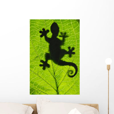 Gecko shown on a wall