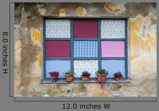 Old romantic windows with flowerpots Wall Mural