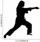 Clipping Path of Martial Arts Woman Wall Decal