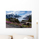Salmon Glacier Wall Mural