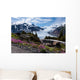Salmon Glacier Wall Mural