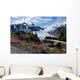 Salmon Glacier Wall Mural