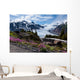 Salmon Glacier Wall Mural
