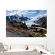 Salmon Glacier Wall Mural