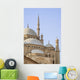 Mosque Muhammad Ali Cairo