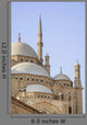 Mosque Muhammad Ali Cairo
