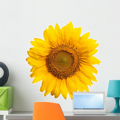 Sunflower Wall Decal shown on a wall