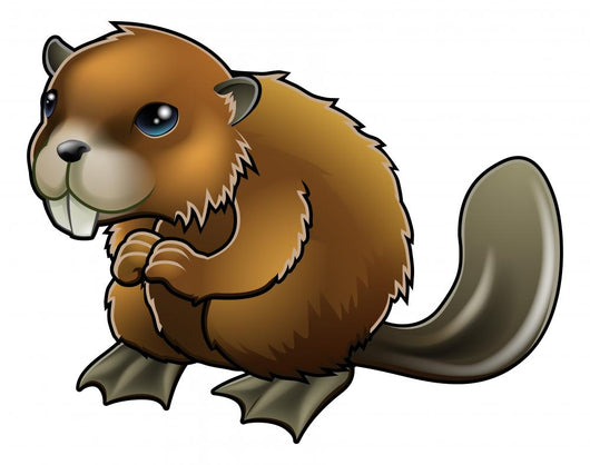 Cute Beaver Wall Decal