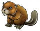 Cute Beaver Wall Decal