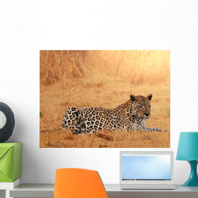 Leopard shown on a wall