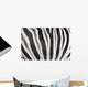 Structure Hide Zebra