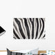 Structure Hide Zebra