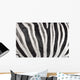 Structure Hide Zebra