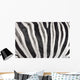 Structure Hide Zebra