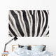 Structure Hide Zebra