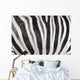 Structure Hide Zebra