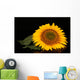 Sunflower Black