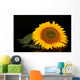 Sunflower Black