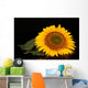 Sunflower Black