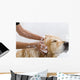 Bathroom to Dog