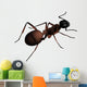Formica - Ant Wall Decal