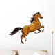 rearing brown horse Wall Decal