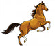 rearing brown horse Wall Decal
