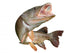 Jumping Pike