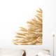 ripe ears of barley isolated on white Wall Decal