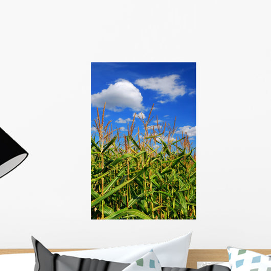 Corn Field