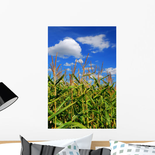 Corn Field