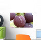 the grape Wall Mural