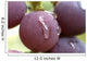 the grape Wall Mural