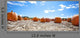 Pumpkins Display Fall