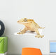 Crested gecko on white background. Wall Decal