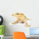 Crested gecko on white background. Wall Decal