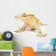 Crested gecko on white background. Wall Decal