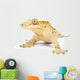Crested gecko on white background. Wall Decal