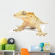 Crested gecko on white background. Wall Decal