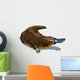 Platypus Wall Decal
