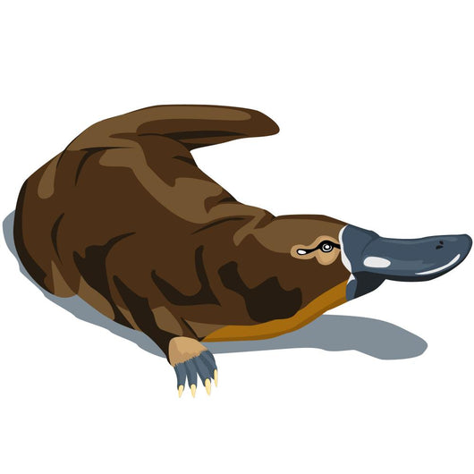 Platypus Wall Decal