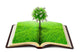 Book Wall Mural